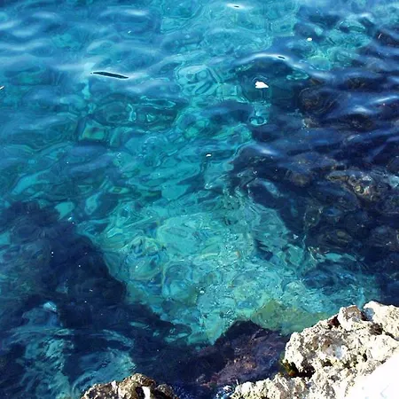 Double 547g ゲストハウス ザヴァラティサ