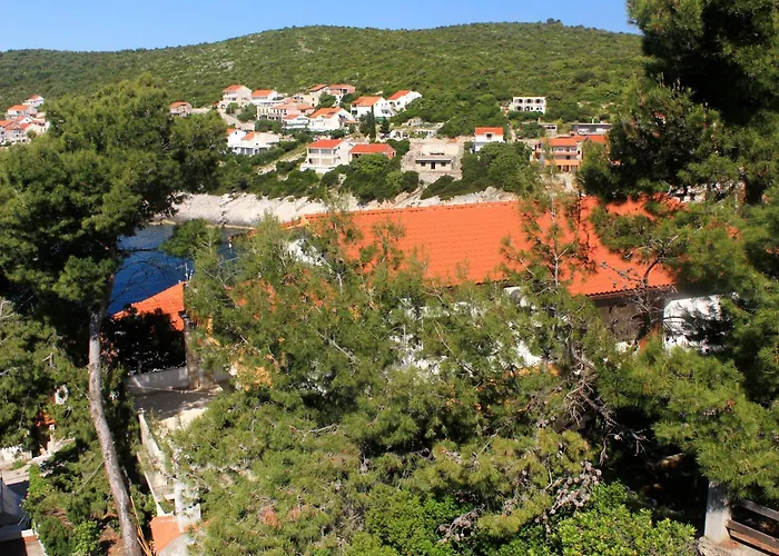 招待所 Double 547g 扎瓦拉提卡